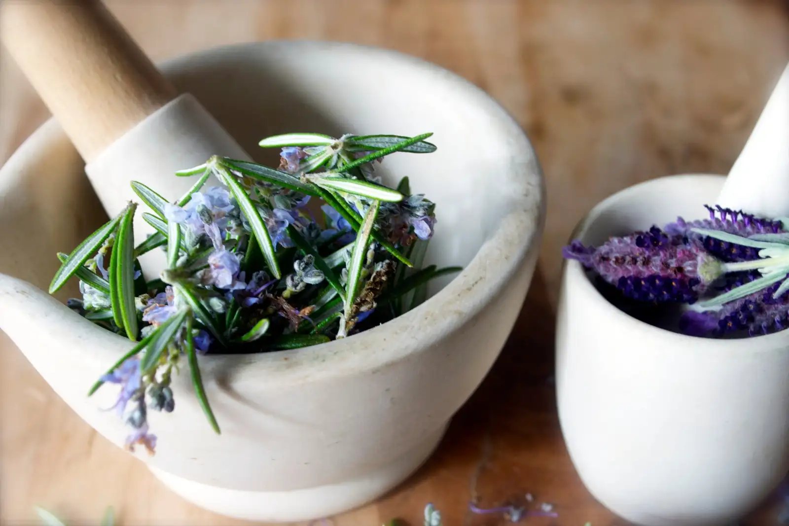 Botanical Medicine